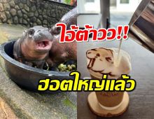 ความตัวตึงดังไกลถึงญี่ปุ่น ล่าสุด Latte art หมูเด้ง ก็มา!!