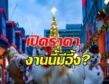 รู้หรือไม่? ต้นคริสมาส หน้าเซ็นทรัลเวิลด์ราคาเท่าไร งานนี้มีอึ้ง?