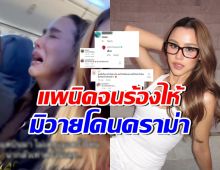 ร้องไห้ทำไมผิด? ลิลลี่ ภัณฑิลา เจอเมนต์แรง หลังแพนิคบนเครื่องบิน